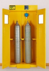 實(shí)驗(yàn)室專(zhuān)用氣瓶柜